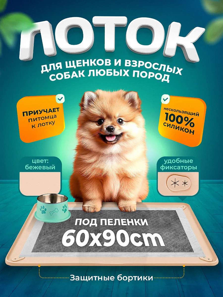 Spa ProBrush